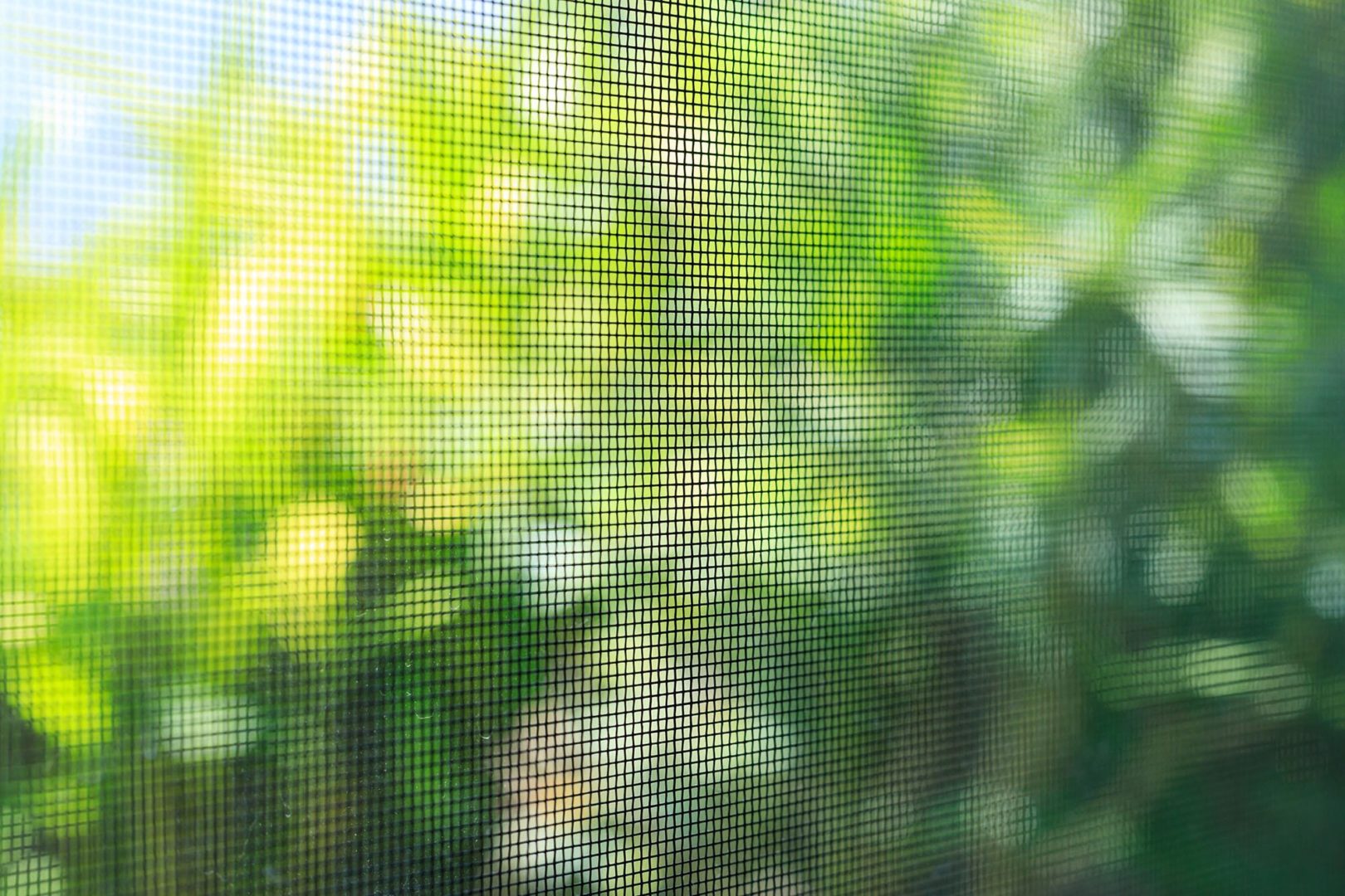 Looking outside of your retractable garage door screen, keeping nature out