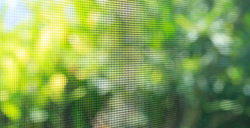Looking outside of your retractable garage door screen, keeping nature out