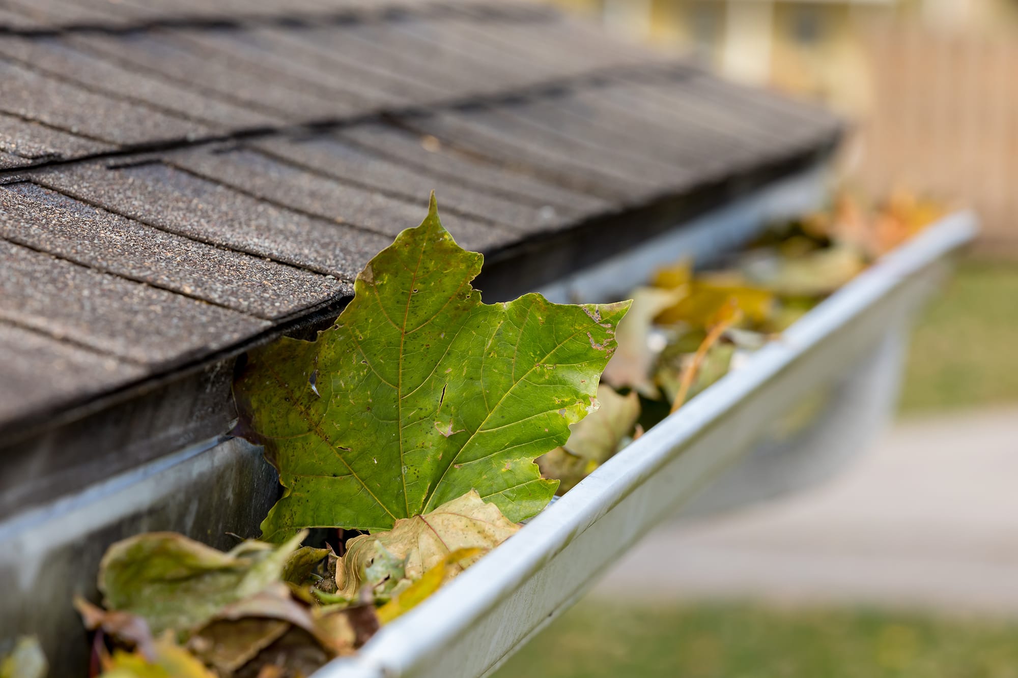 Garage Gutters can clog and impede the functionality of your garage door.